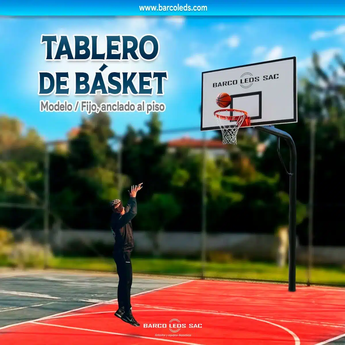 Tableros de Basket de madera fijo, Anclado al piso / 1 Posicion - Imagen 4
